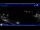 Webcam in Moneglia, 9.2 km