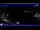 Webcam in Moneglia, 10.1 km