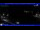 Webcam in Moneglia, 10.1 km
