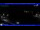 Webcam in Moneglia, 5.1 km