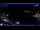 Webcam in Moneglia, 3.8 km