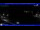 Webcam in Moneglia, 3.8 km entfernt