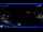 Webcam in Moneglia, 9.2 km