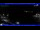Webcam in Moneglia, 17.6 km