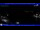 Webcam in Moneglia, 4.9 mi away