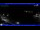 Webcam in Moneglia, 9.2 km