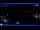 Webcam in Moneglia, 9.9 km