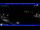 Webcam in Moneglia, 3.8 km entfernt