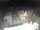 Webcam in Rimini, 0.8 km