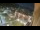 Webcam in Niederdorf, 0.8 mi away