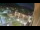 Webcam in Niederdorf, 0.9 mi away