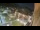 Webcam in Niederdorf, 0.3 km