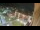 Webcam in Niederdorf, 3.4 km entfernt