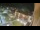 Webcam in Niederdorf, 6.2 km