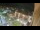 Webcam in Niederdorf, 6.2 km