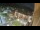Webcam in Niederdorf, 0.8 mi away