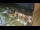 Webcam in Niederdorf, 0.8 mi away