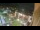Webcam in Niederdorf, 0.8 mi away