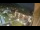 Webcam in Niederdorf, 0.8 mi away
