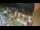 Webcam in Niederdorf, 0.8 mi away