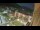 Webcam in Niederdorf, 0.3 km entfernt