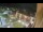 Webcam in Niederdorf, 0.8 mi away