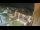 Webcam in Niederdorf, 0.2 km