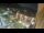 Webcam in Niederdorf, 0.8 mi away