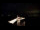 Webcam in Haffkrug, 25.2 km