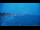 Webcam in Haffkrug, 5 mi away