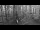 Webcam in Haltern am See, 10.3 mi away