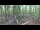 Webcam in Haltern am See, 15.4 mi away
