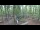 Webcam in Haltern am See, 13.1 mi away