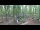 Webcam in Haltern am See, 25 km