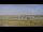 Webcam in Dorumer Neufeld, 0.4 km