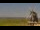 Webcam in Pellworm, 1.4 km entfernt