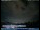 Webcam in Barcellona Pozzo di Gotto, 38.6 km