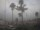 Webcam in Nerja, 40 km entfernt