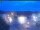 Webcam in Coswig (Sachsen), 13.5 km entfernt