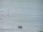 Webcam in Takapuna, 7.7 km entfernt