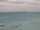 Webcam in Takapuna, 1.2 mi away