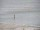 Webcam in Takapuna, 2.6 mi away