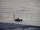 Webcam in Takapuna, 2.6 mi away