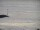 Webcam in Takapuna, 1992.4 km
