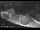 Webcam in Manerba del Garda, 8.9 km