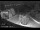 Webcam in Manerba del Garda, 11.1 mi away