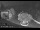 Webcam in Manerba del Garda, 1.6 km