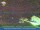 Webcam in Ettenheim, 10.8 km
