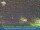Webcam in Ettenheim, 12 km entfernt