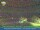 Webcam in Ettenheim, 36.9 km